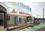 ティージー株式会社