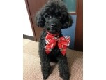 オノテックライフデザイン株式会社