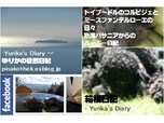 有限会社ノイエピナコテーク
