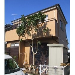 外壁塗装
外壁サイディングコーナー部凍害⇒交換＋塗装
軒天、破風板、雨樋、霧除け・ベランダ笠木・水切り・エアコンホース及びその他配管等小物塗装
ベランダウレタン防水
シーリング打ち替え
ベランダ手摺ブリッジシール、端末シール

屋根塗装
縁切り処理（タスペーサー02挿入）
クラックコーキング補修
屋根棟下地木材腐食・棟板金交換
温水ソーラー撤去