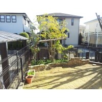 庭木の剪定(せんてい)