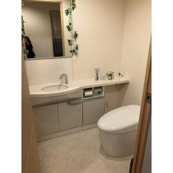 自動水洗の取り付けで電源を使用するには、備え付けの収納を加工するか、露出配線を渡すようになるため、自動発電タイプを取り付けました。