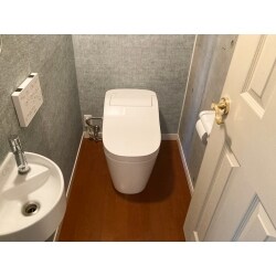 清掃しやすいトイレをご希望でしたのでシンプルなタンクレストイレで自動洗浄機能のあるアラウーノをご提案しました。