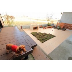 犬が安心して遊べる庭