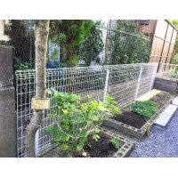 ペットとの暮らしを考えた外構リフォーム