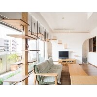 ネコとの暮らし