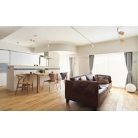 ブルーがポイントの家族が一緒の部屋(マンション)