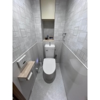 上下でデザインを分けたスタイリッシュで清掃性も高めたトイレ