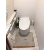 エコカラットを取り入れた居心地がよく上品なトイレ