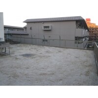 犬が遊べる広々とした庭