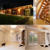 光と風の回廊/12匹の猫と、風を感じる2世帯住宅