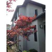 光触媒作用で外壁のキレイが続きます