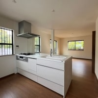 リビングにはハンモックも!中古物件購入子育てリノベーション