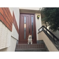 玄関ドアとシャッターの取り替え