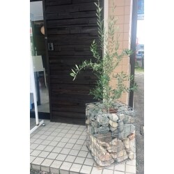 流行りのガビオンを設置することで、店舗前をよりおしゃれに演出しました。