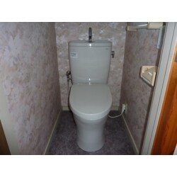 節水力のある機能的なトイレ