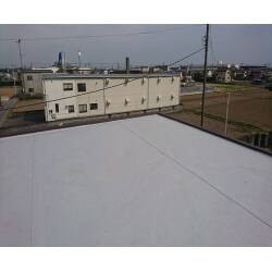 FRPを剥がしシート防水を張りました。