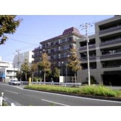 大規模
