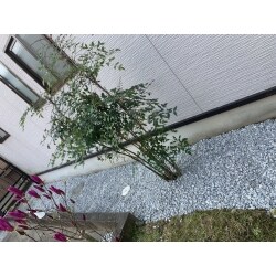 荒れていた外構をお手入れが楽な方がよいところは草が生えないように防草シートを敷き、その上に砂利を敷きました。少し緑が欲しい部分には芝を敷き、明るい庭にしました。