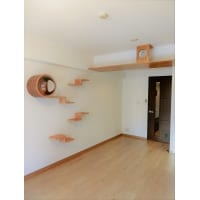 愛猫と暮らす【マンションリフォーム】