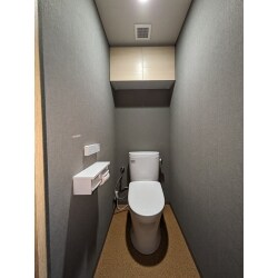 トイレ空間は思い切って挑戦できる空間の一つです。前回はこうだったから今回も同じように、など考えないで違う色味にしてみるのもおススメです。家で唯一違う空間が出来る場所です。