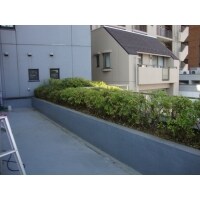 植栽剪定工事