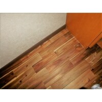 個性的なお部屋に(無垢フローリング、タイル張り)