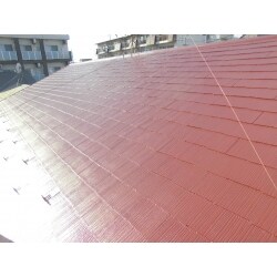棟の交換と屋根の塗装工事をしました。