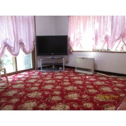 豪華なカーペットでお部屋の模様替え