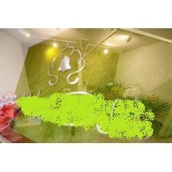 新しく開業された接骨院の店舗工事を行いました。
壁面の人工芝仕上げがいい雰囲気になりました。