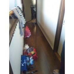 廊下貼り替え