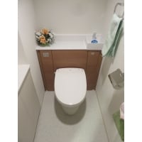 収納トイレ