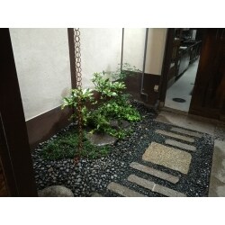玉砂利と石畳の素敵なお庭です。玉砂利や植栽は水に濡れることで一層美しさが引き立ちますね。