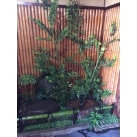 和の風情を取り入れたお庭