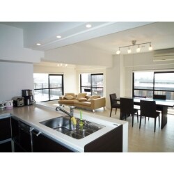 マンション購入、内装は珪藻土＆広々Ｌ型キッチン２８４万円