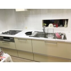 扉カラーはルフレシャンパン。淡い黄色のカラーです。