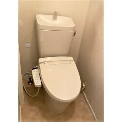 トイレのイメージはそのままに、掃除はしやすく綺麗を保てるフチレスに変えました。
