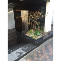 ビルのエントランスを華やかに
