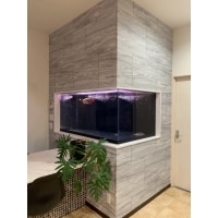 水槽のある生活