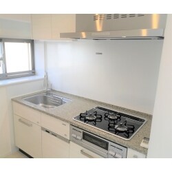 お住まい全体のイメージに合わせ、キッチンもスタイリッシュな雰囲気にリフォームが完成しました。壁や床などはホワイトを基調に張り替えをおこない、照明はシーリングからダウンライトへ。シンプルな壁付きＩ型システムキッチンに交換。食器洗い乾燥機も装備されており、収納スペースも充実しています。