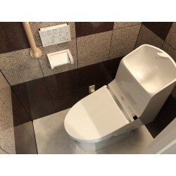 フチレス、壁付きリモコンのタンク一体型のトイレに交換。少量の水でも汚れをキレイに流せるので節水にもなりました。