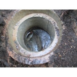おトイレが詰まりやすいとの事でしたので、排水管にカメラを入れて調査を行ったところ、管内に木の根が貫通していることが
確認できました。排水管まで掘削し、排水管修復しました。また、排水マスにも根が絡んでおりましたので根の除去作業を行いました。