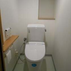 トイレを取り換える際に内装も変えて、爽やかで明るいトイレ空間になりました。