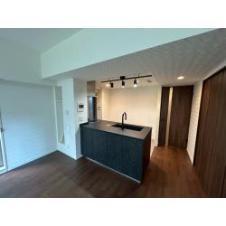 ブラックのシンクとこだわりの照明で、シックでおしゃれなキッチンに。