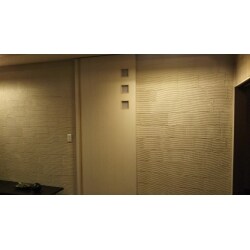 塗り壁に改修
立体感のある壁にハイドアを合わせました