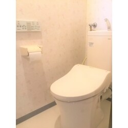 便器の破損の為、便器とタンク交換をしました。
破損から施工完了まで手動で流してました。
結構な重労働ですね。