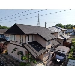 ディプロマット
