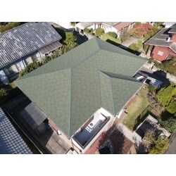 ディプロマット