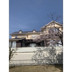 外壁の塗装をメインに、玄関木製ドアの塗装、ウッドデッキの施工等をお任せいただきました。
桜が似合う素敵なお家です。