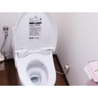節水性とデザイン性を重視し、使い勝手の良くなったトイレ